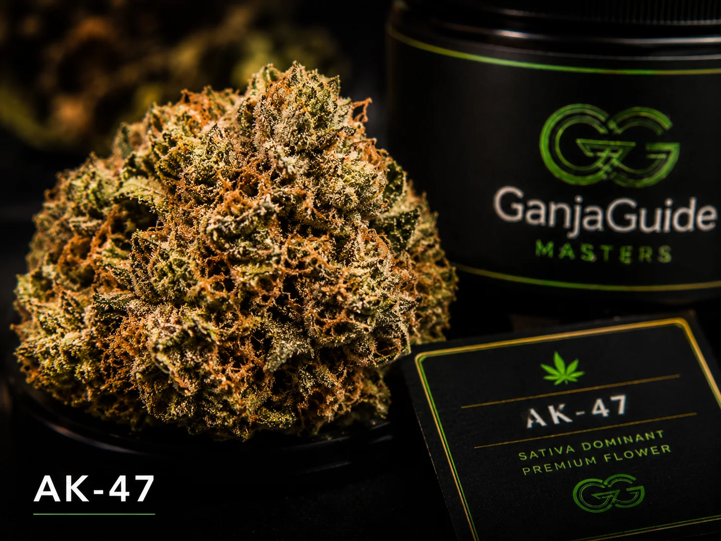 Illustratieve macrofoto van een gelabelde AK-47 cannabisbloem