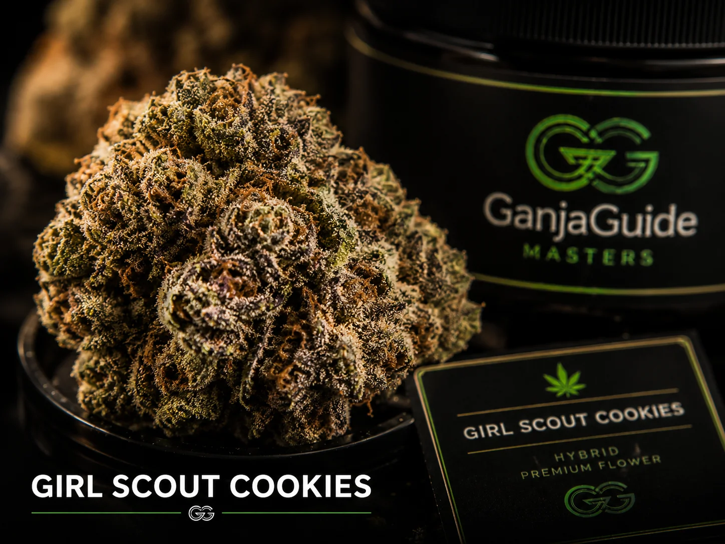 Illustratieve macrofoto van een gelabelde GSC cannabisbloem