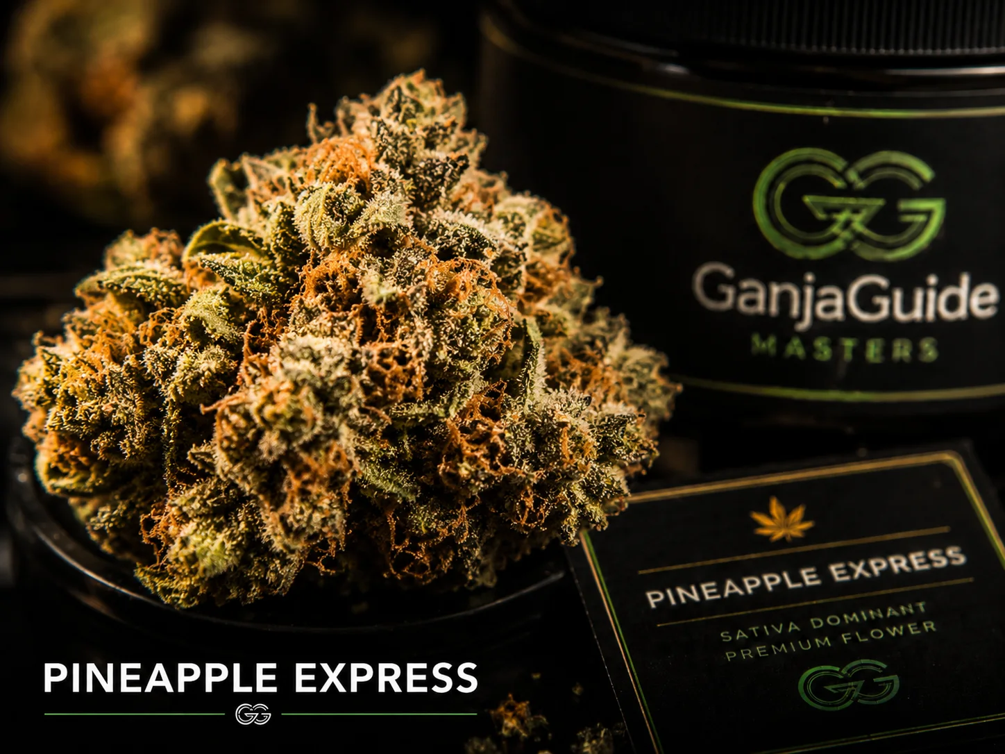 Illustratieve macrofoto van een gelabelde Pineapple Express cannabisbloem