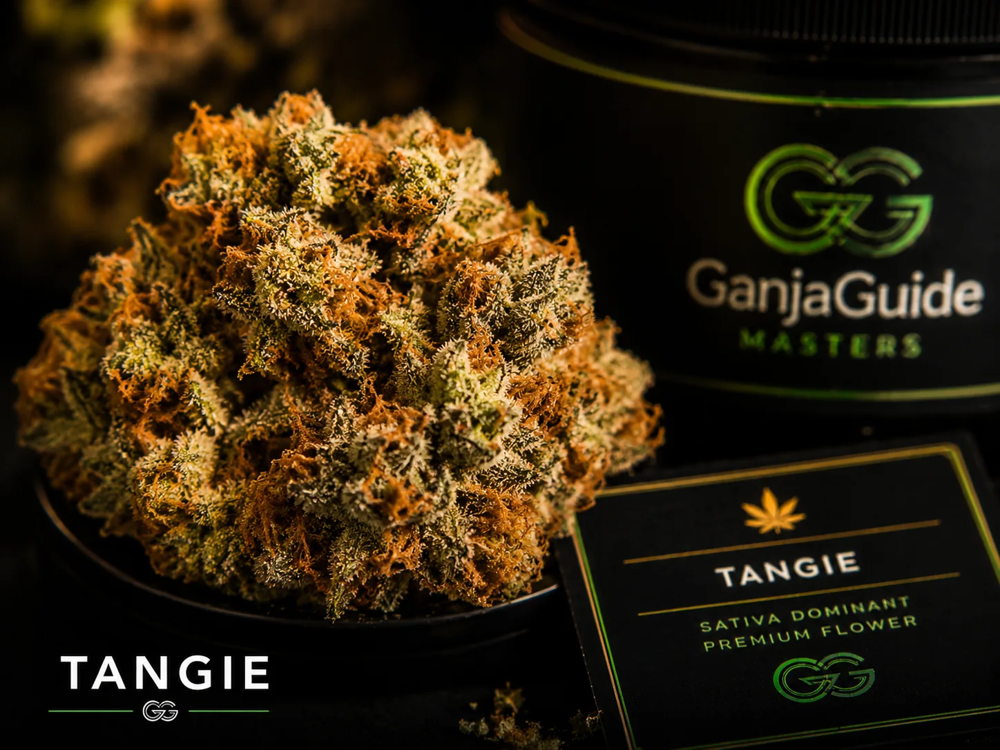 Illustratieve macrofoto van een gelabelde Tangie cannabisbloem